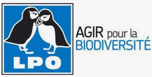 logo lpo