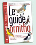 guideornitho