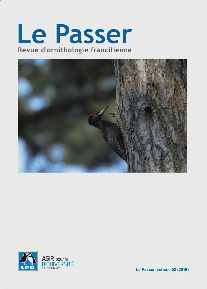 image article
