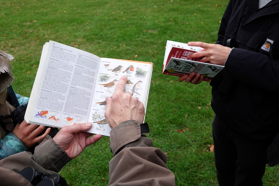 image article