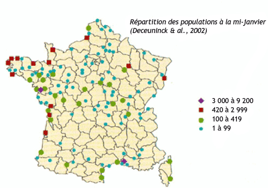 Distribution