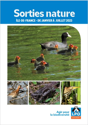 sortie_nature